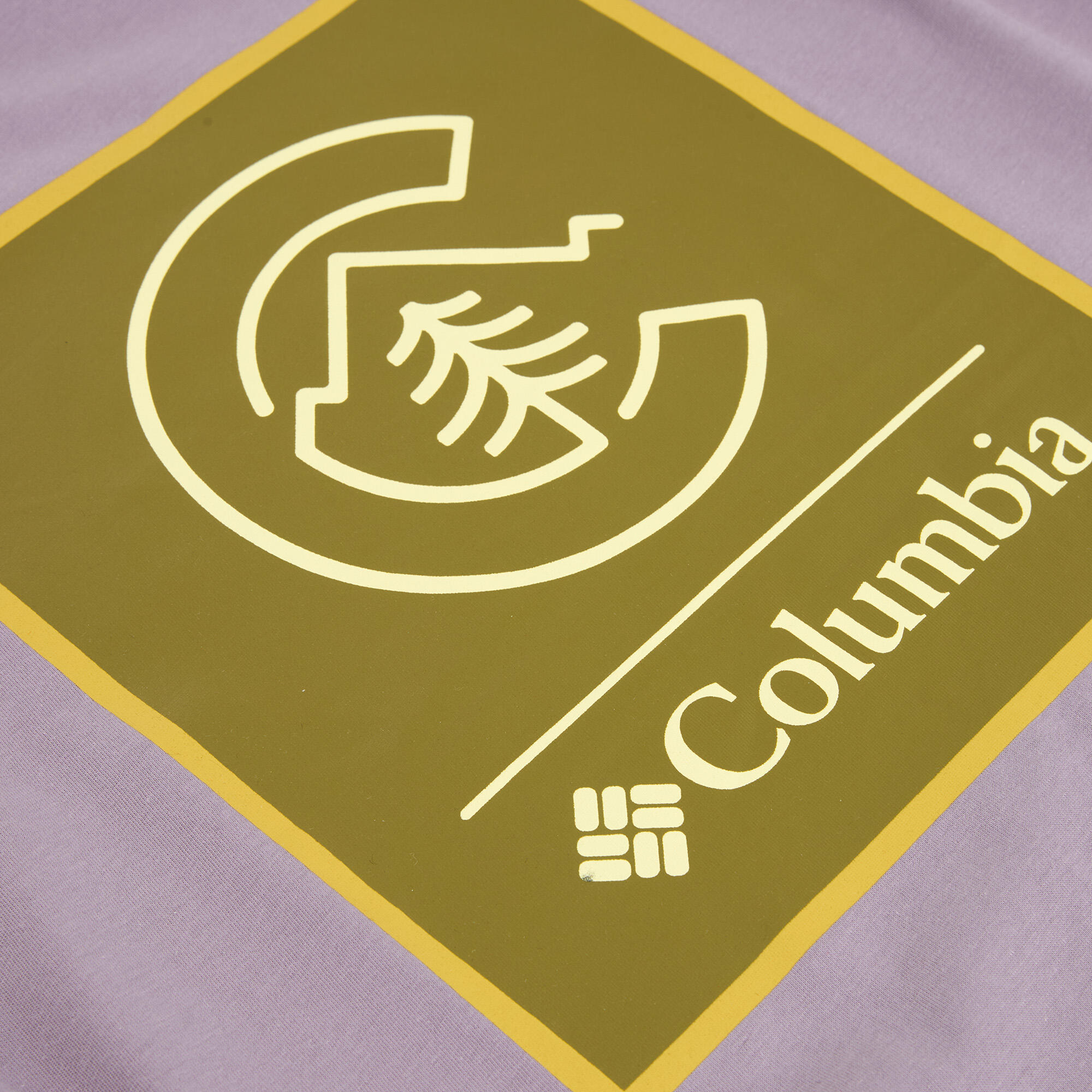 Koszulka męska Columbia CSC Basic Logo Back Tee 4/5