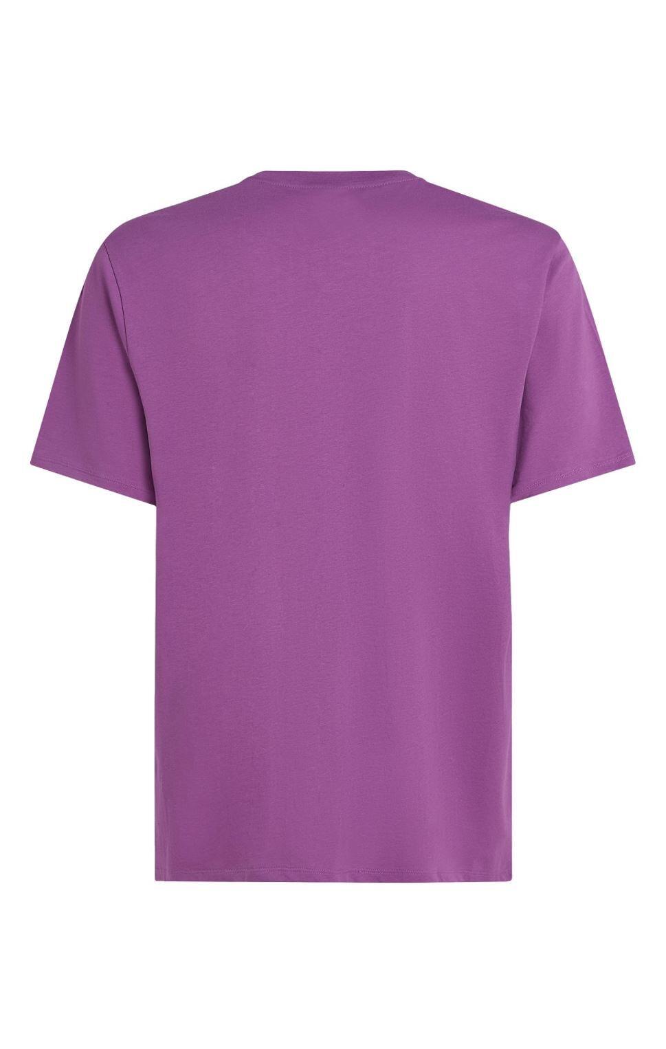 O'NEILL O'Neill Herren ORIGINAL CALI LOGO T-SHIRT Sweet Grape 2/2