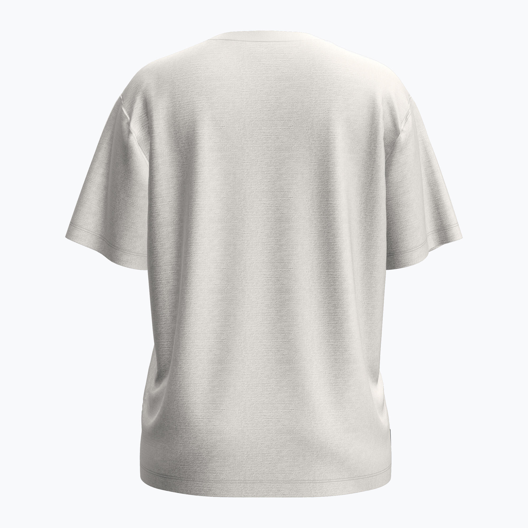 Koszulka damska icebreaker Merino 150 Tech Lite Relaxed Tee 2/3
