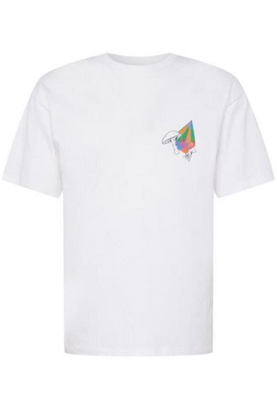 VOLCOM picture