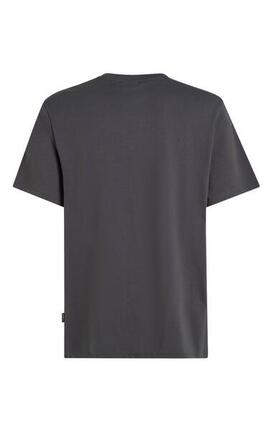O'NEILL O'Neill Herren ORIGINAL CALI LOGO T-SHIRT Asphalt