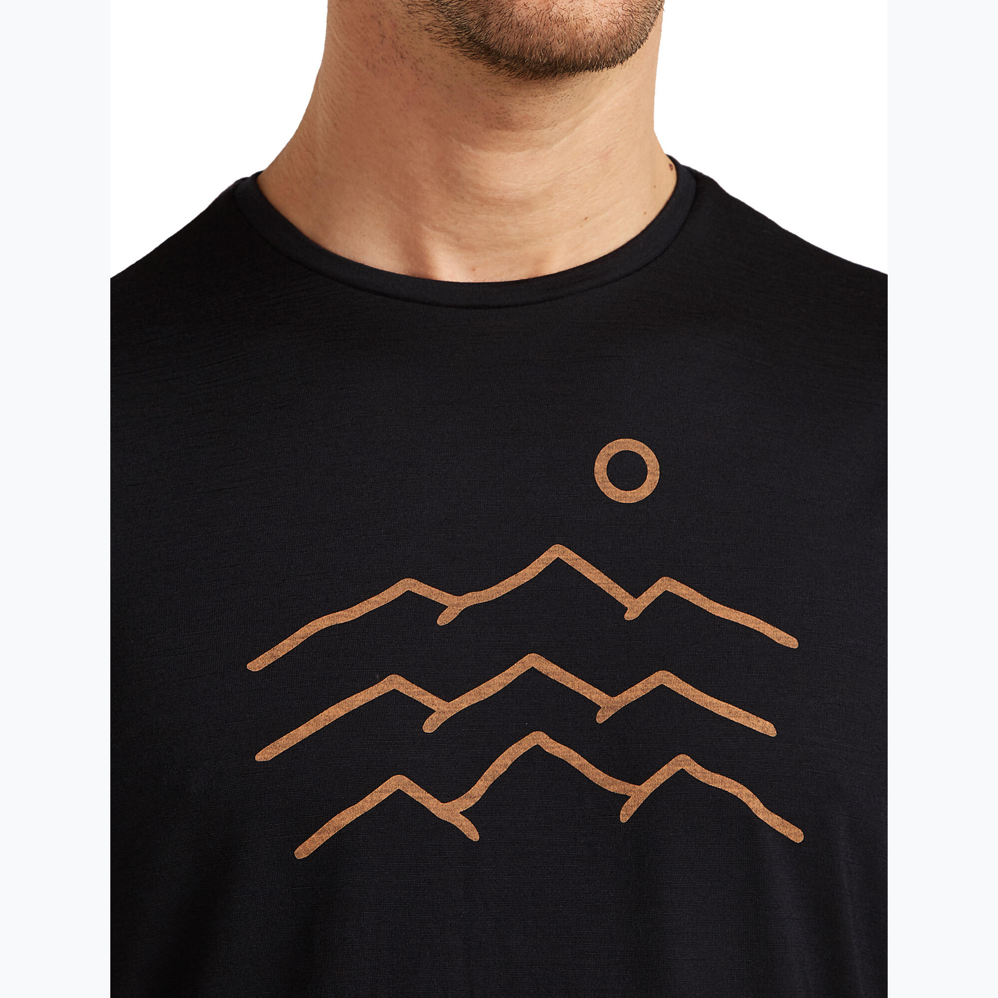 Koszulka męska icebreaker Merino 125 Cool-Lite Sphere Tee Across The Peaks 6/7