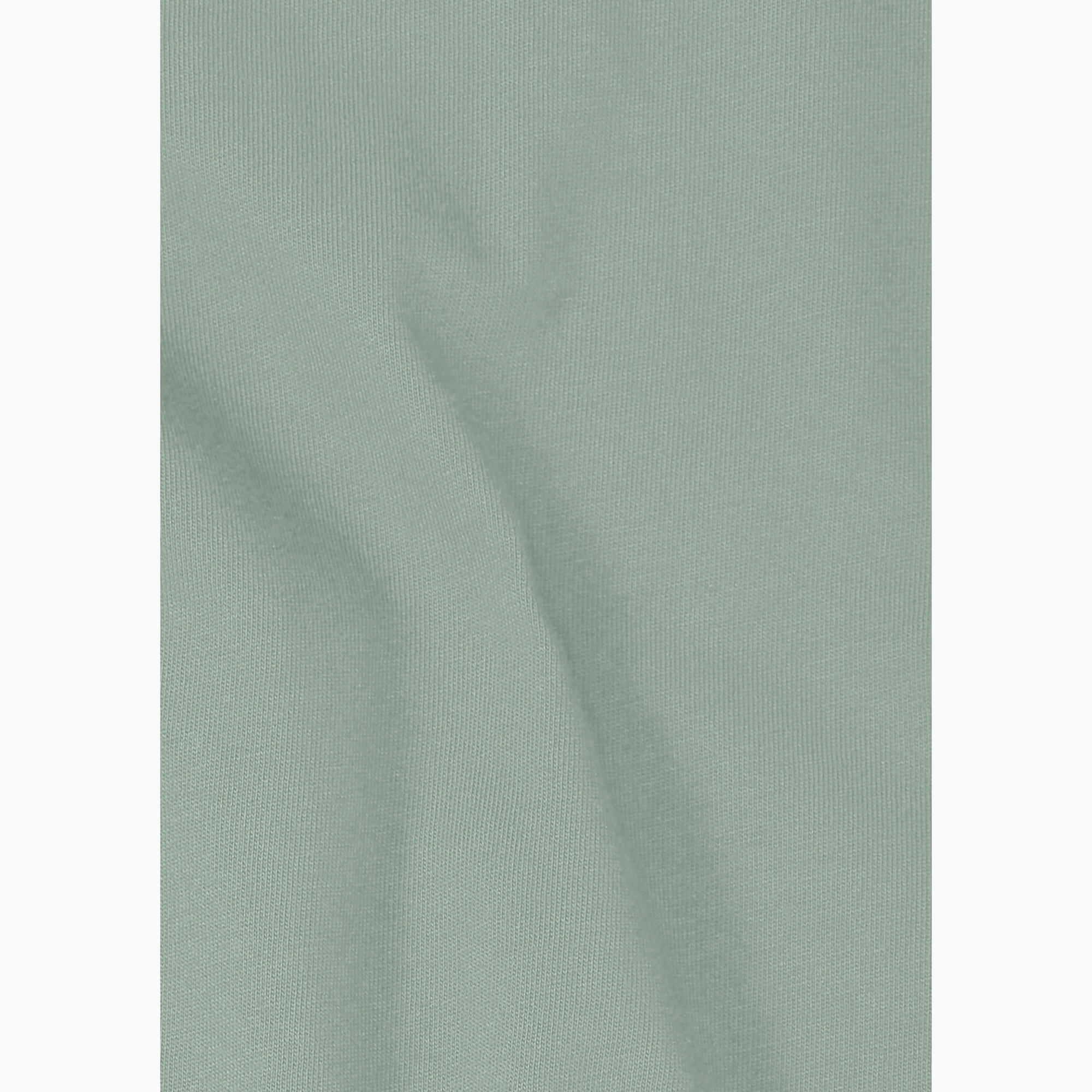 Koszulka męska Jack Wolfskin Essential 7/7