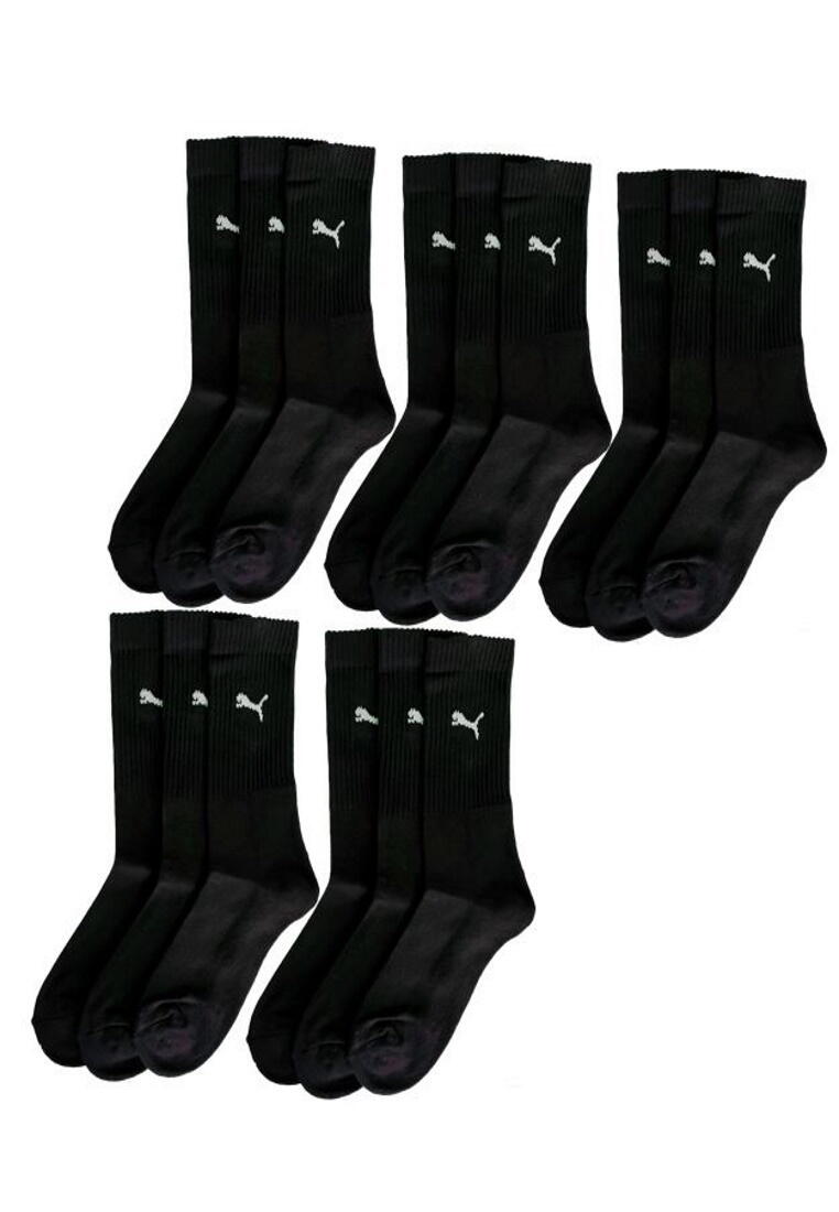 PUMA picture