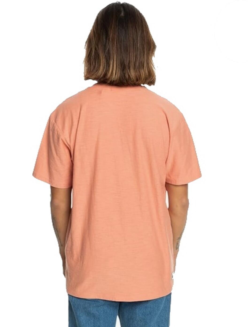 QUIKSILVER Quiksilver T-Shirt Slub Roundneck coral 2/2