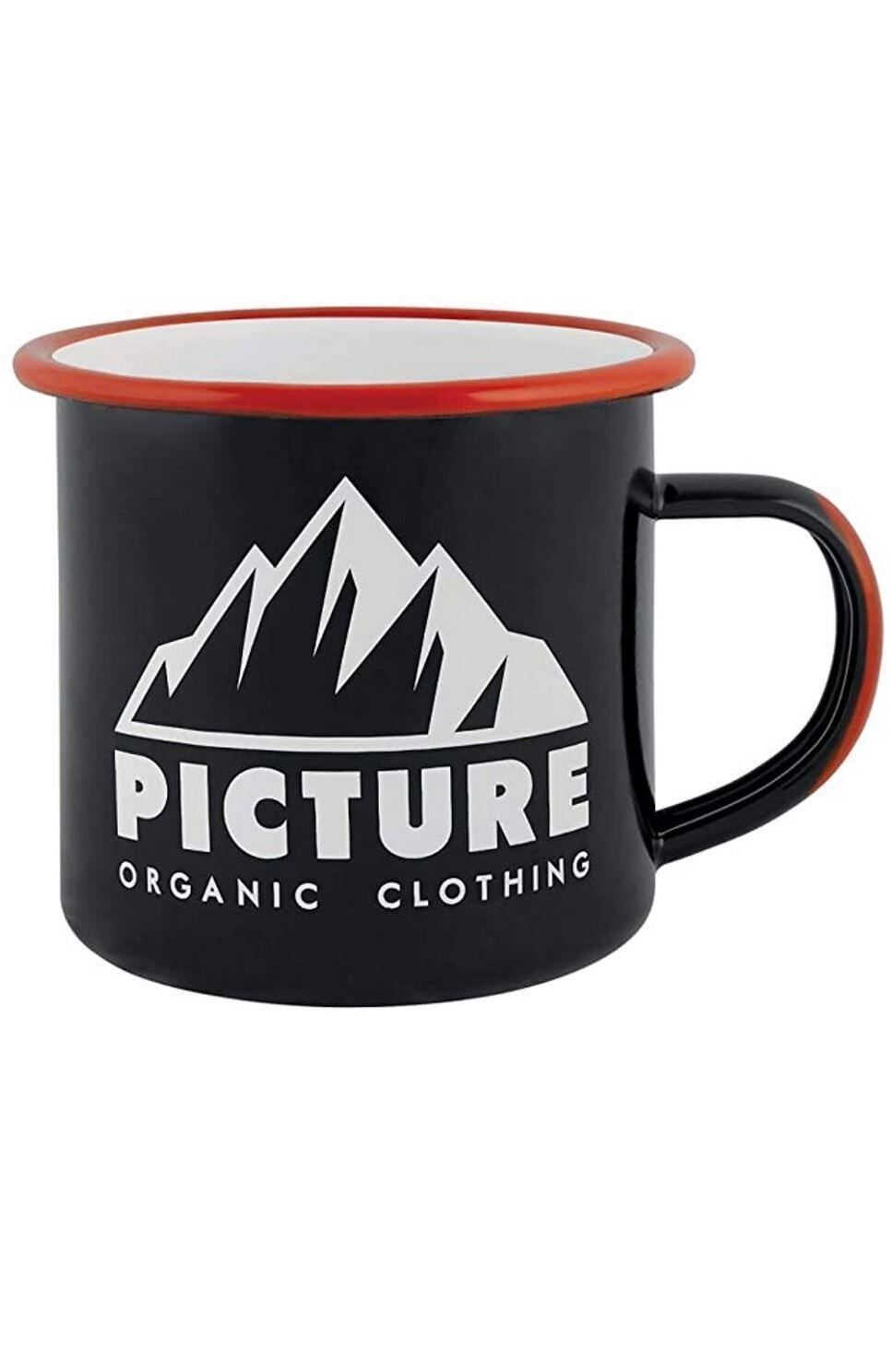 PICTURE picture