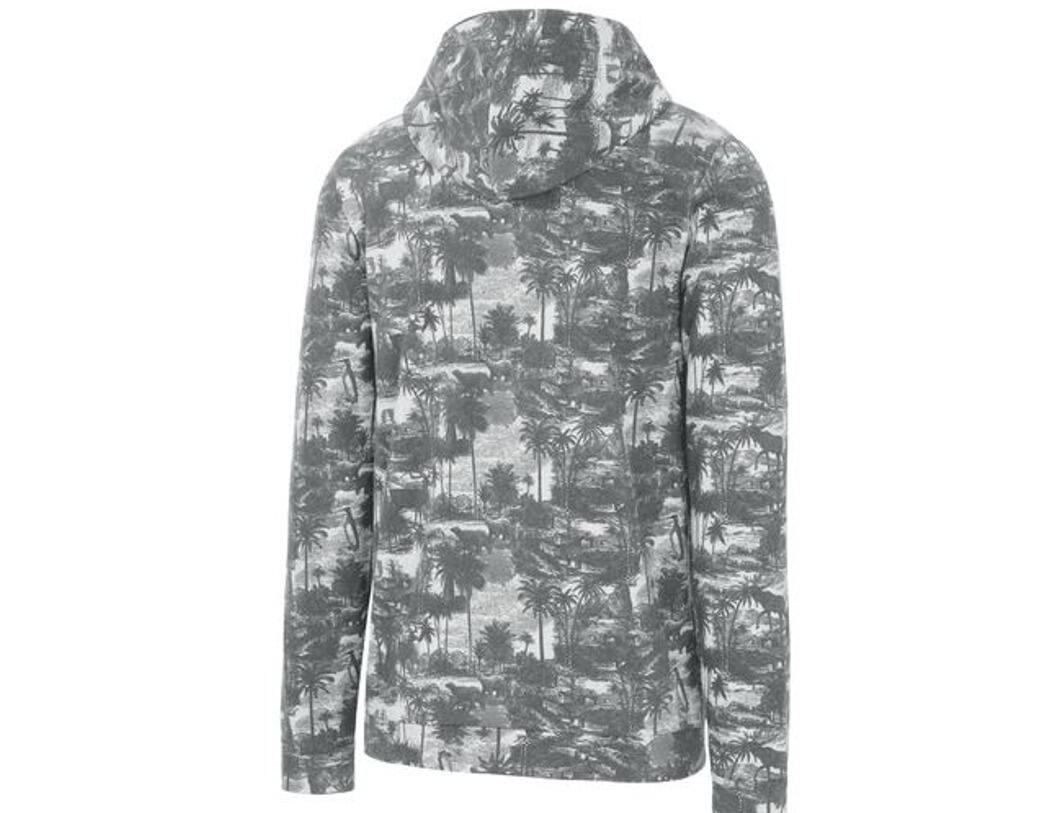 PICTURE Picture Herren Kapuzenpullover Cairne Atlas 2/2