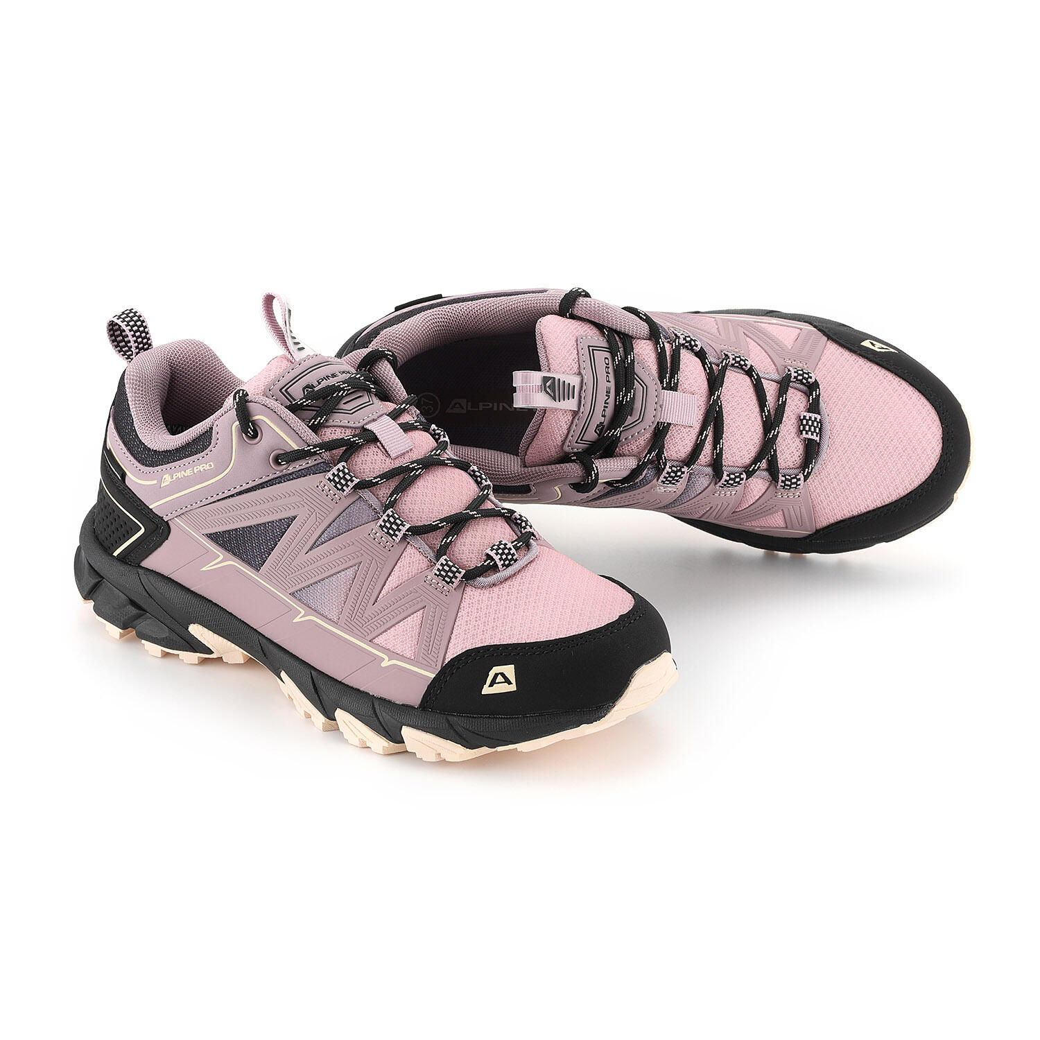 ALPINE PRO picture