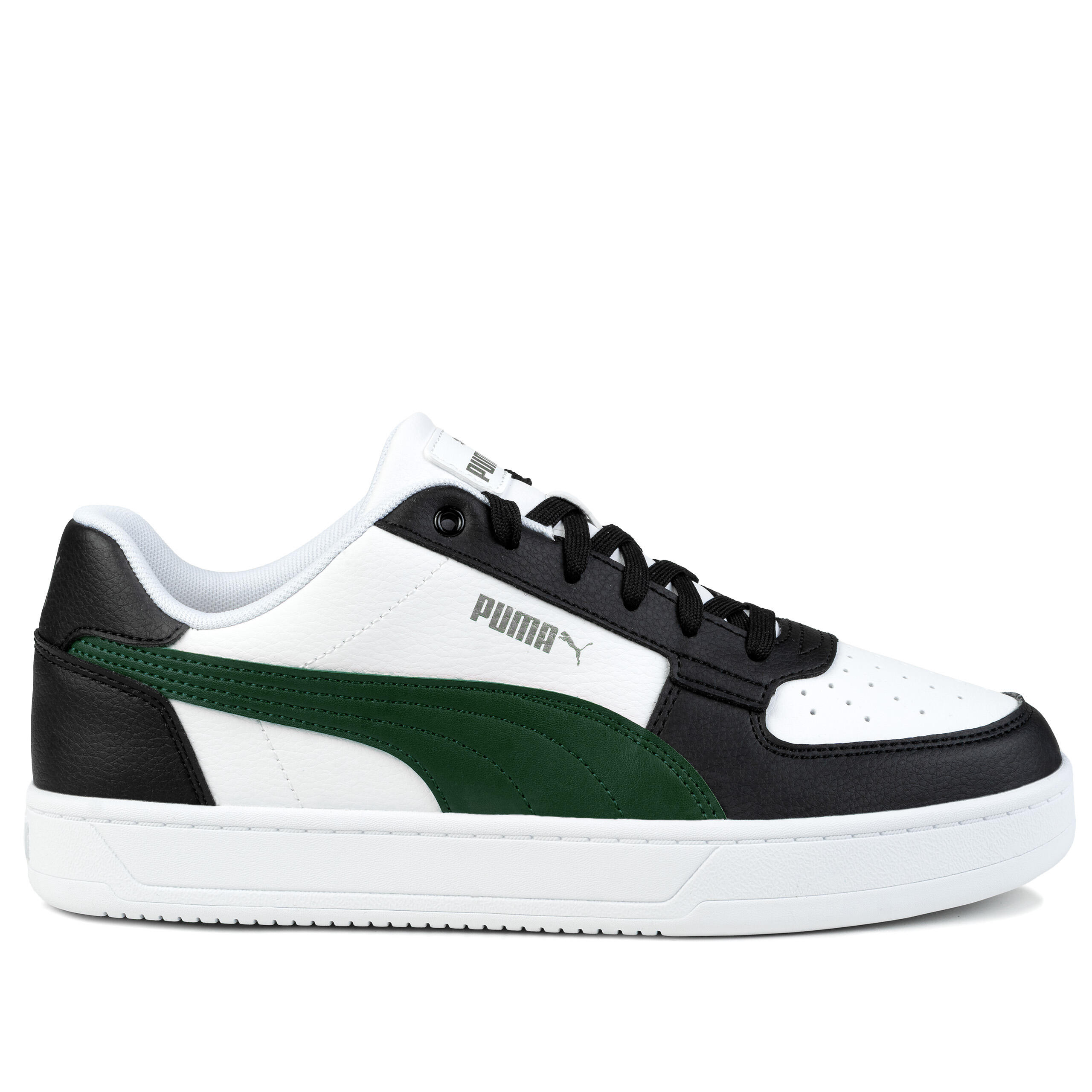 PUMA picture