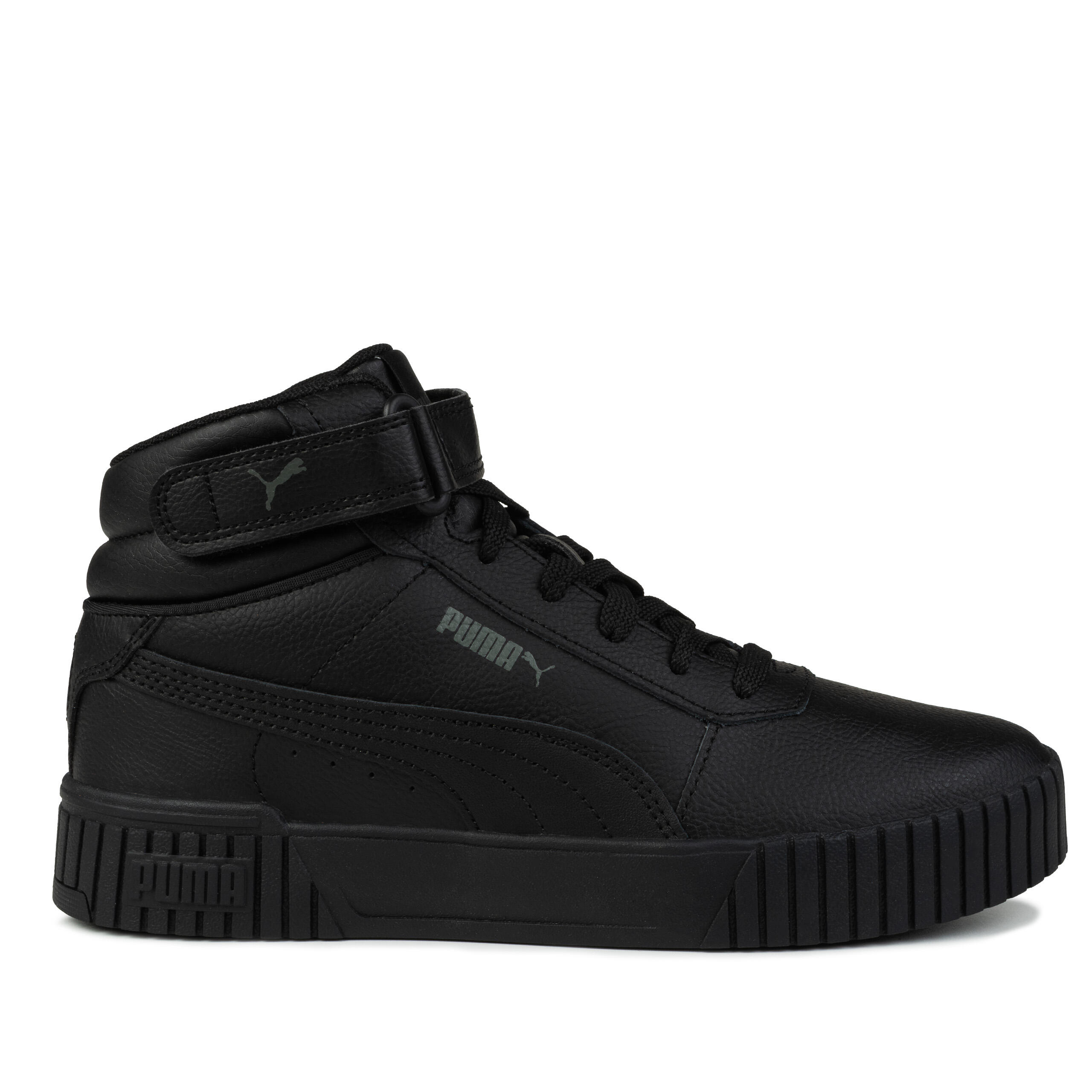 PUMA picture