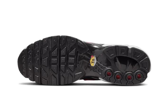 Air Max Plus Dusk - Taille : 43 EU 3/3