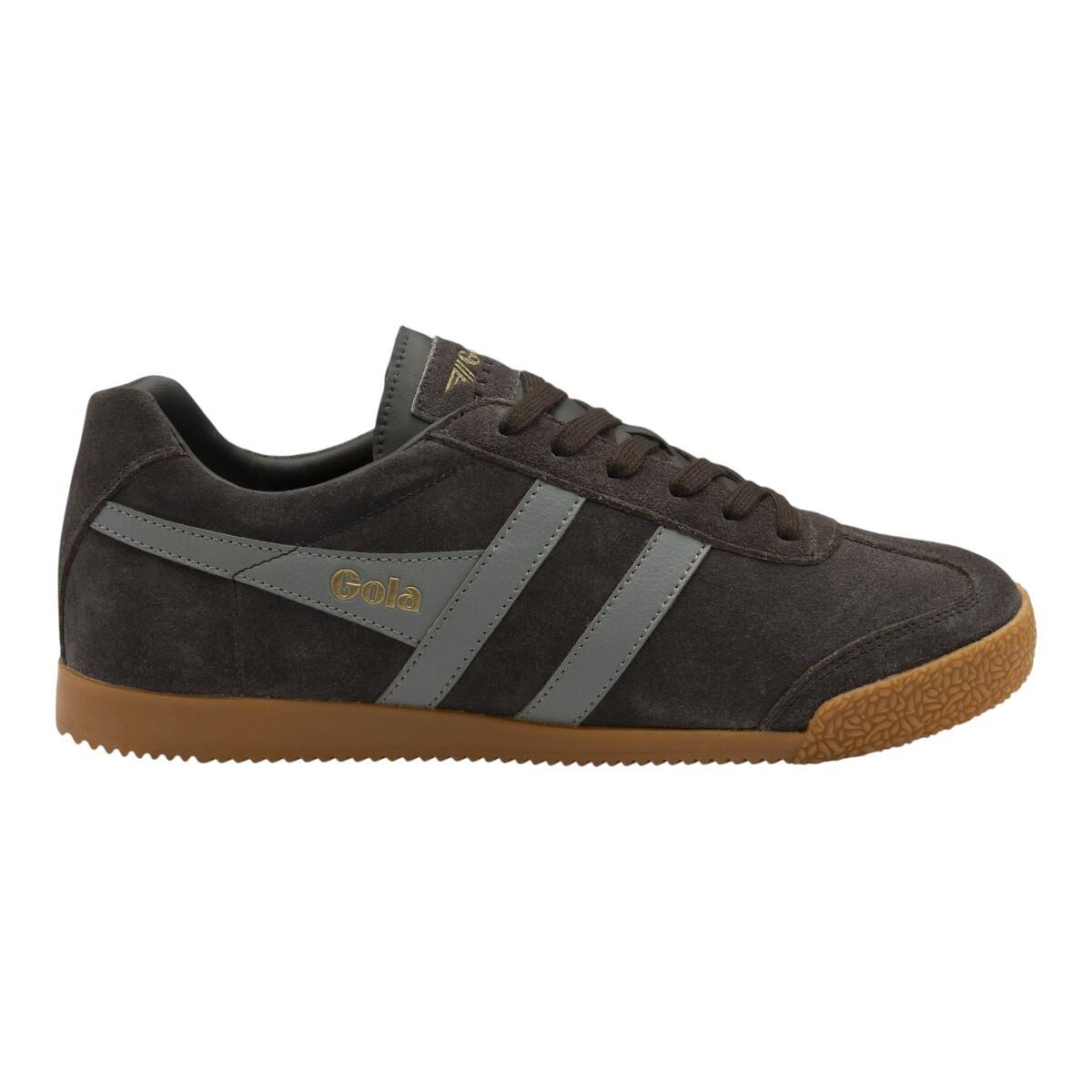 Baskets Homme Baskets Gola HARRIER Marron Gola
