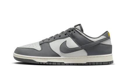 Nike Dunk Low Next Nature Iron Grey Lightning