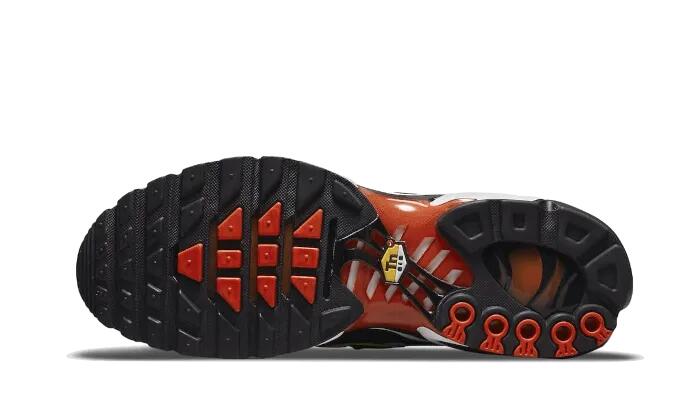 Air Max Plus Sunset Gradient - Taille : 43 EU 3/3