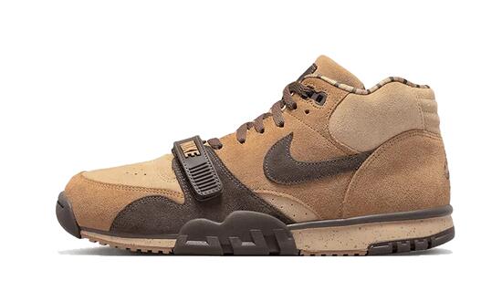 Scarpe - allenamento - uomo - air trainer 1 - baroque brown