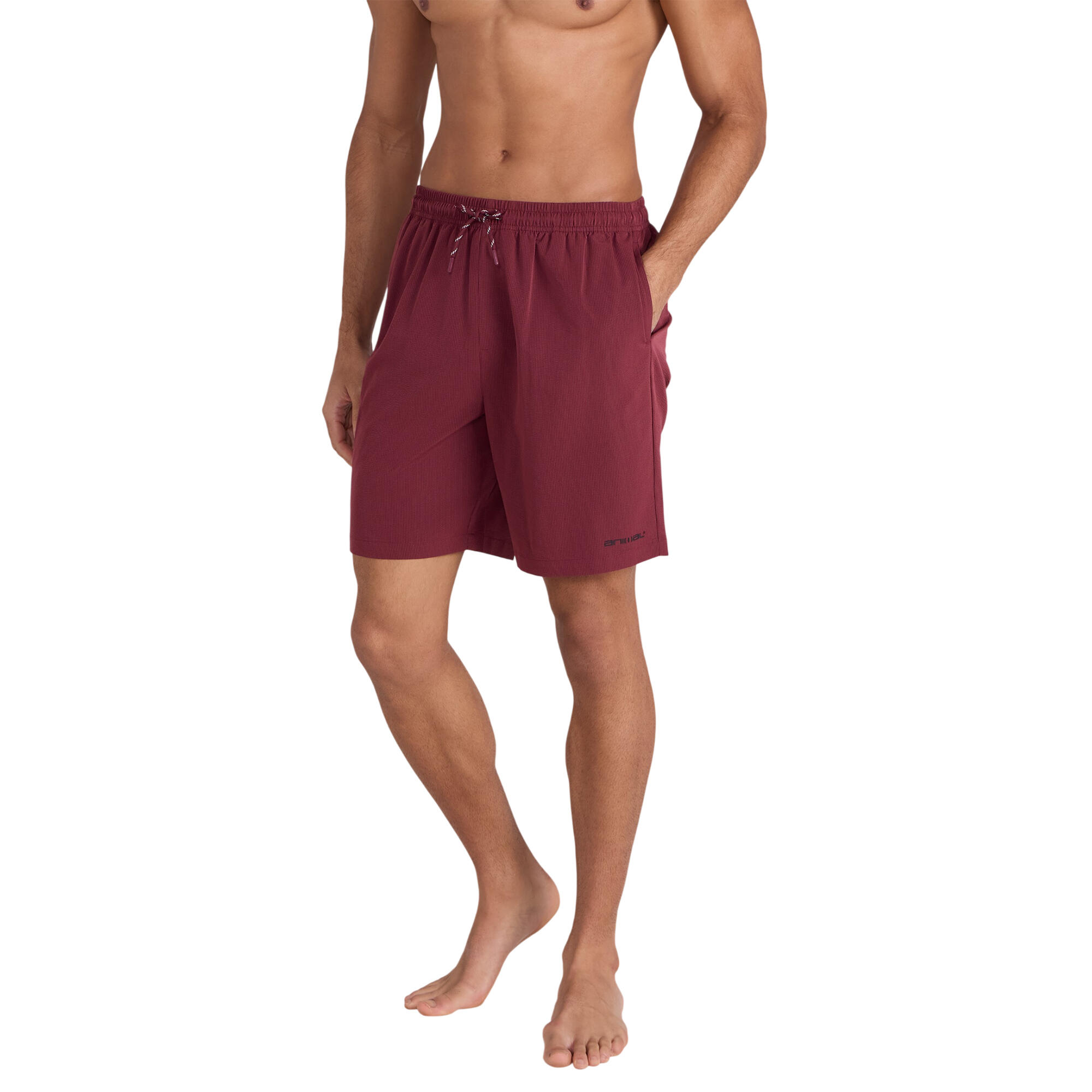 Animal Mens Reeva Hybrid Swim Shorts