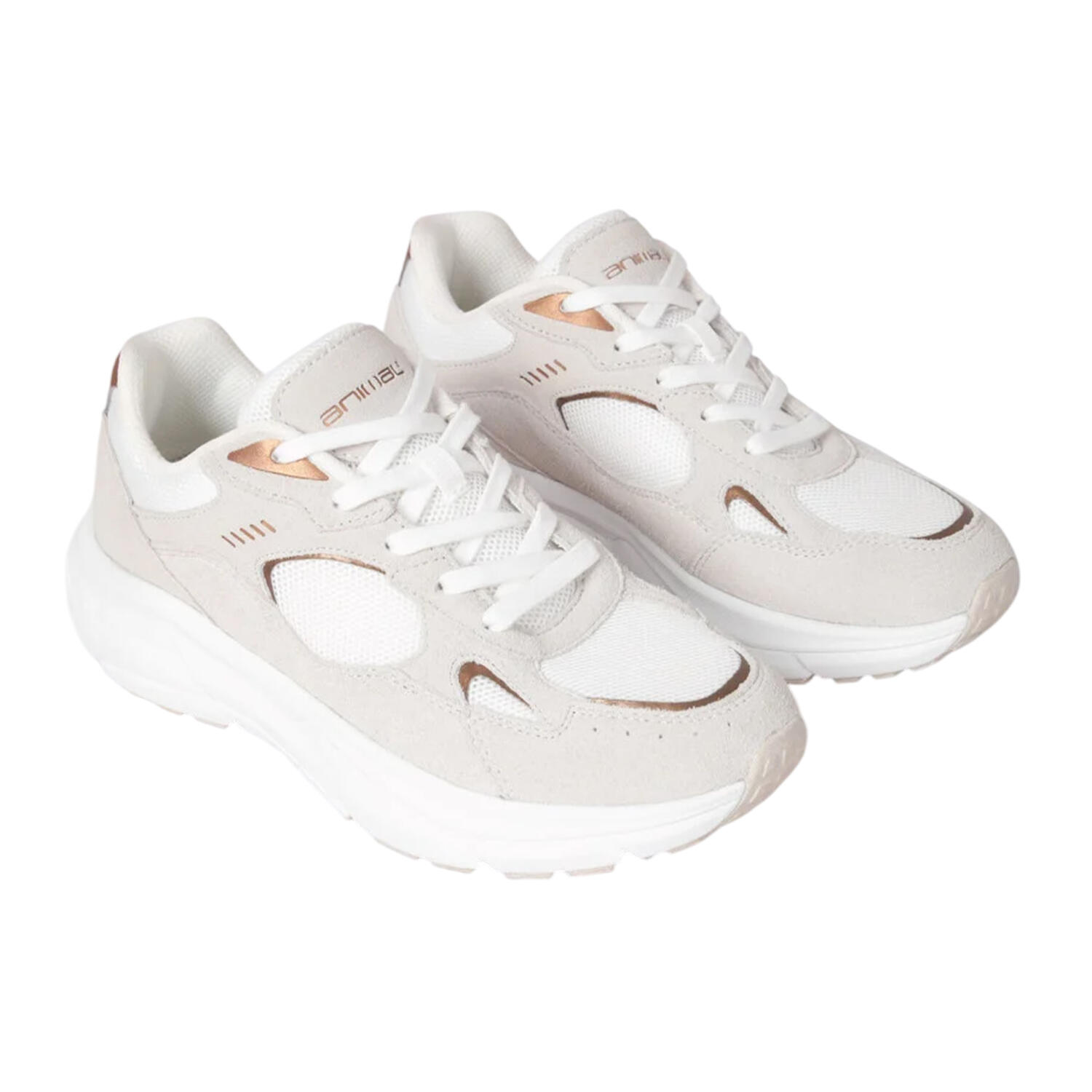 Animal Womens/Ladies Ezra Leather Everyday Trainers