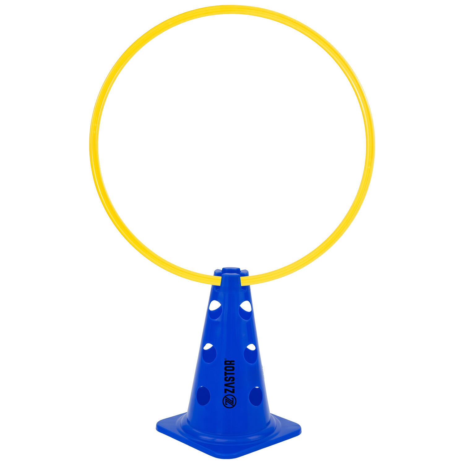 Señalizador 23 cm con soporte para picas azul 6/6