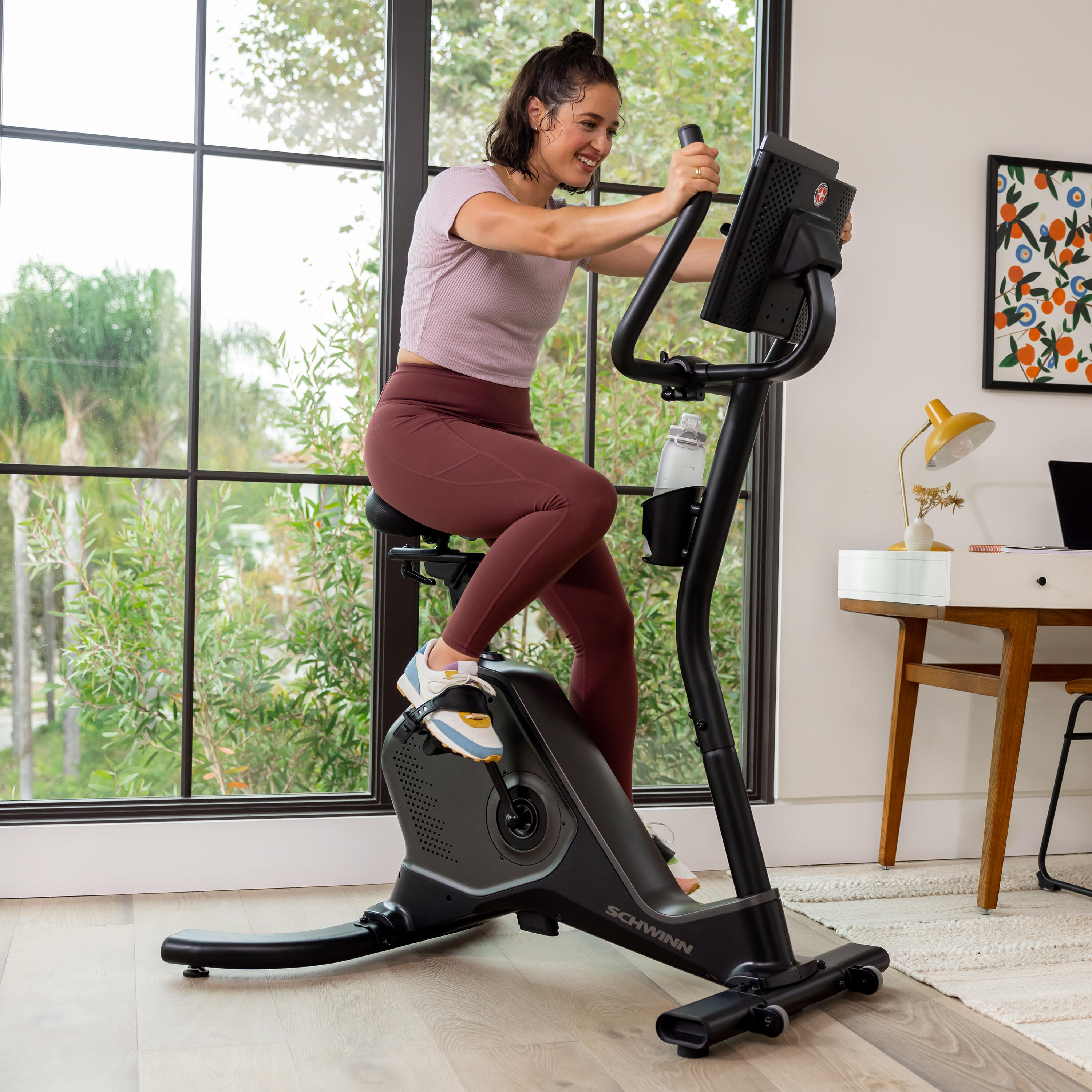 Schwinn Ergometer Fahrrad Bike 590U 3/7