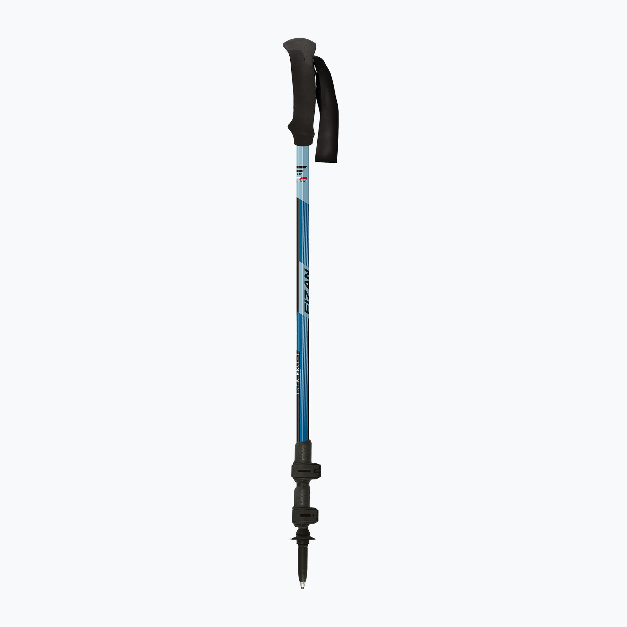 Kije trekkingowe Fizan Trek Pro L 2/7