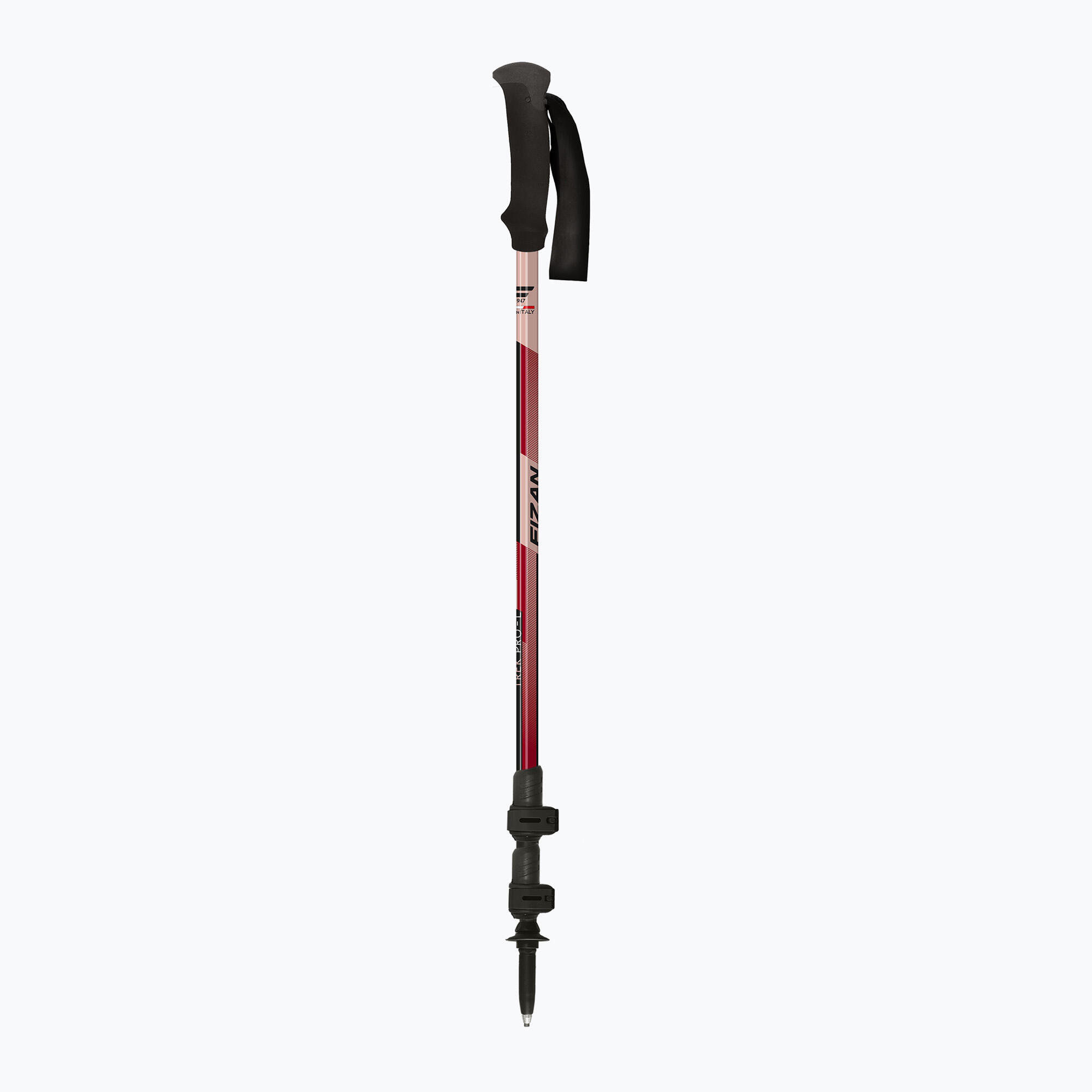 Kije trekkingowe Fizan Trek Pro L 2/7