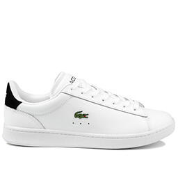 LACOSTE picture