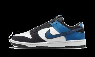 Schoenen - lifestyle - unisex - dunk low airbrush - wit/blauw