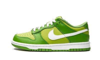Schoenen - basketbal - unisex - dunk low - chlorophyll/wit
