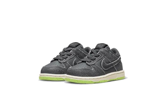 Dunk Low Swoosh Shadow Iron Grey Bébé (TD) - Taille : 18.5 EU 2/3