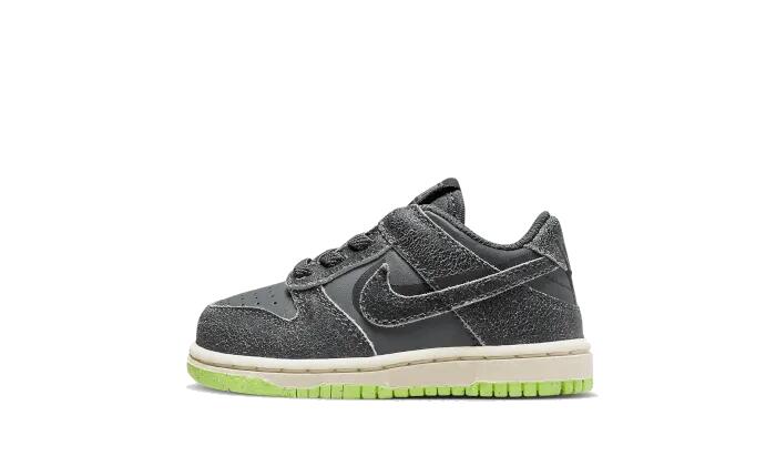 Dunk Low Swoosh Shadow Iron Grey Bébé (TD) - Taille : 18.5 EU 1/3