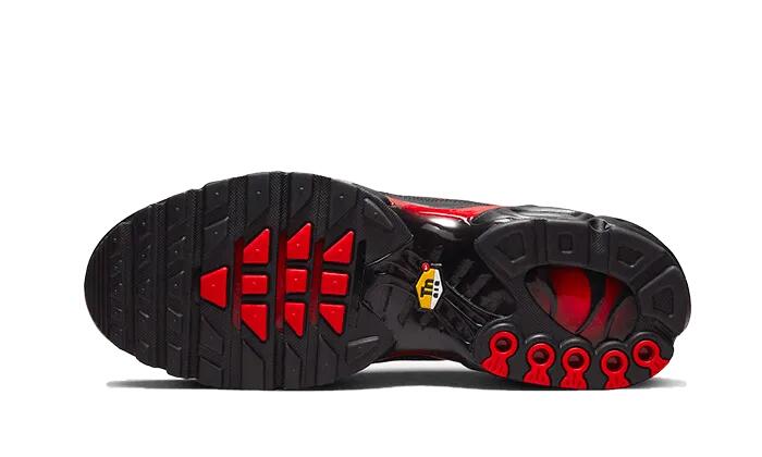 Air Max Plus Bred Reflective - Taille : 40.5 EU 3/3