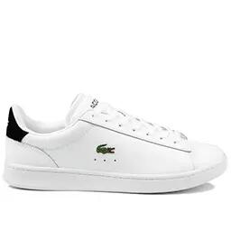 LACOSTE picture