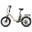 Bicicletă electrică pliabilă FAFREES F20 Flex, baterie detașabilă de 36V 25Ah