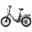Bicicletă electrică pliabilă FAFREES F20 Flex, baterie detașabilă de 36V 25Ah