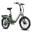 Bicicletă electrică urbană FAFREES F20 Flex cu baterie de 36V 20Ah
