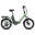 Bicicletă electrică pliabilă FAFREES F20 Flex, baterie detașabilă de 36V 25Ah
