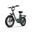 E20 bicicletă electrică pentru adulți, baterie 48V 13Ah și roți de 20 de inci.