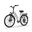 E26 bicicletă electrică pentru adulți, baterie 48V 10.4Ah și roți de 26 de inci
