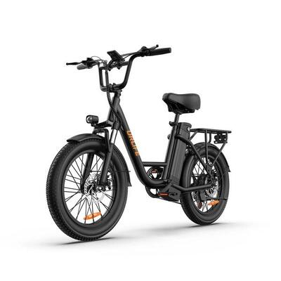 E20 elektrische fiets voor volwassenen 48v 13ah 20" brede band
