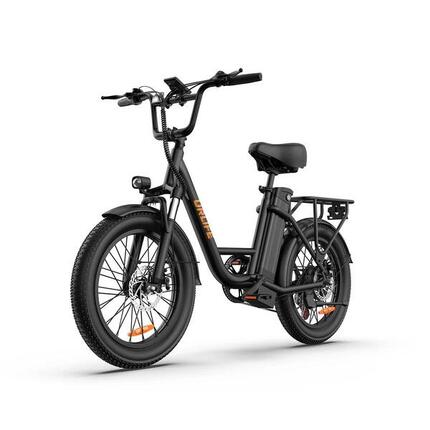 E20 Elektrofahrrad für Erwachsene 48V 13Ah 20 Zoll Breitreifen