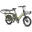 Bicicletă electrică FAFREES FF20 CUV Longtail – Baterie dublă 30AH