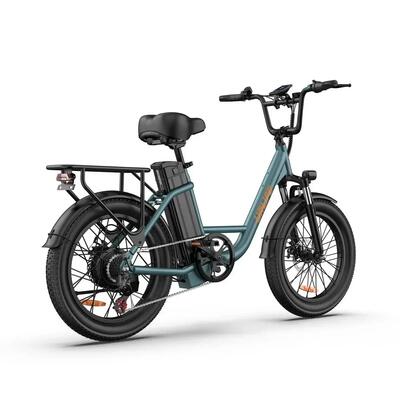 Stedelijke e-bike urlife e20 250w motor 100km bereik 80nm