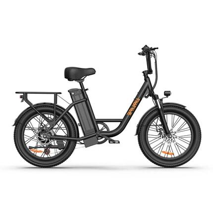 Volwassen elektrische fiets URLIFE E20 250W 48V 13AH 20" vetbanden