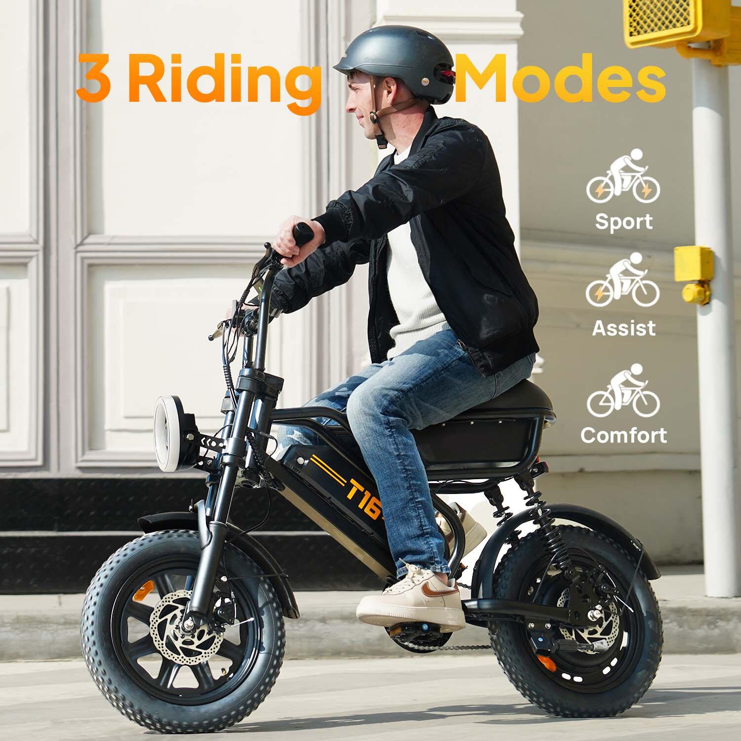 T16 Elektrofahrrad : 48V 13Ah Akku 16×3,0 Zoll Geländereifen 6/6