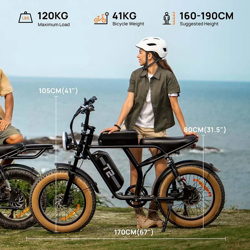 T2 Elektrofahrrad : 48V 15,6Ah Akku 20×4,0 Zoll Breitreifen 7/7