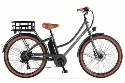 E-Stepcity Vélo Électrique – 250W, 36V, 60 km, Shimano 7V. Graphite R/Basket