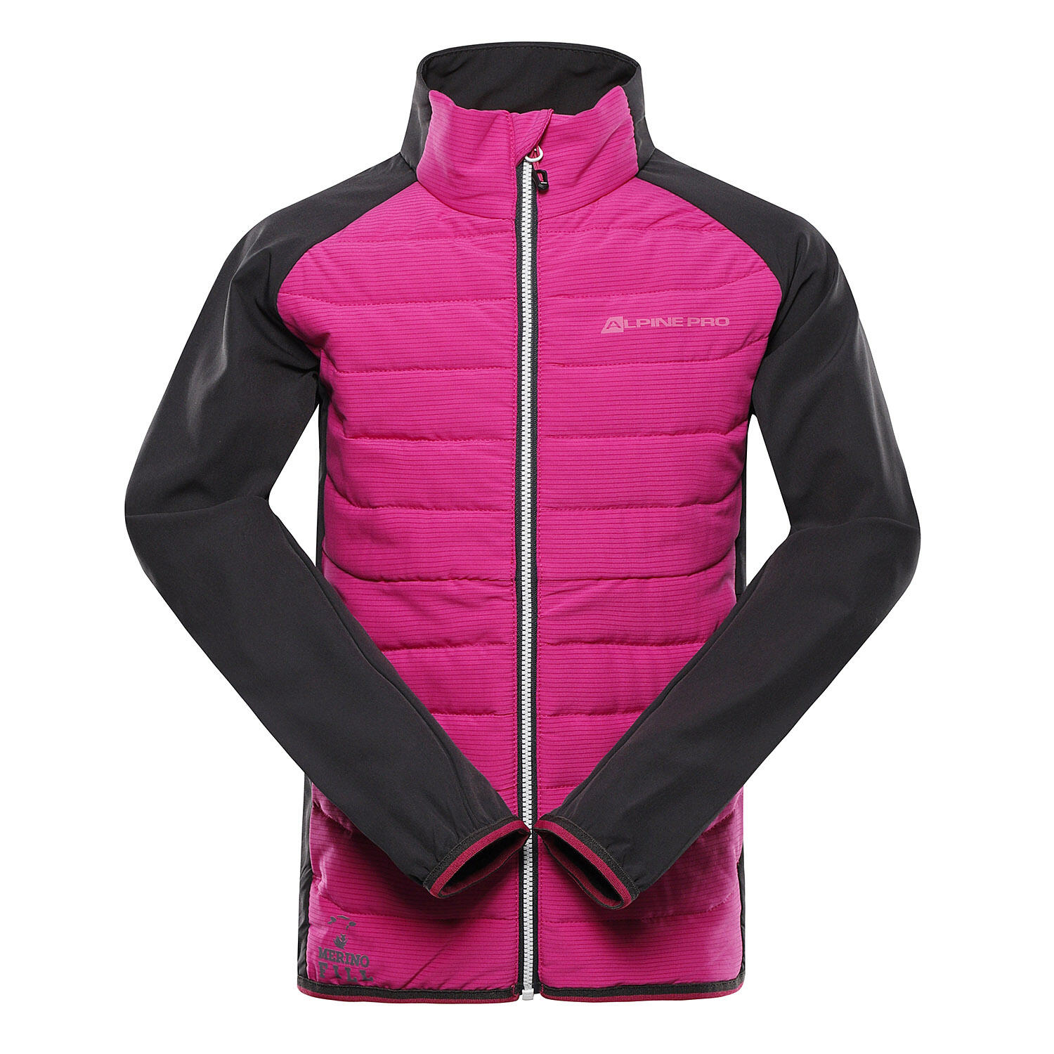 ALPINE PRO picture