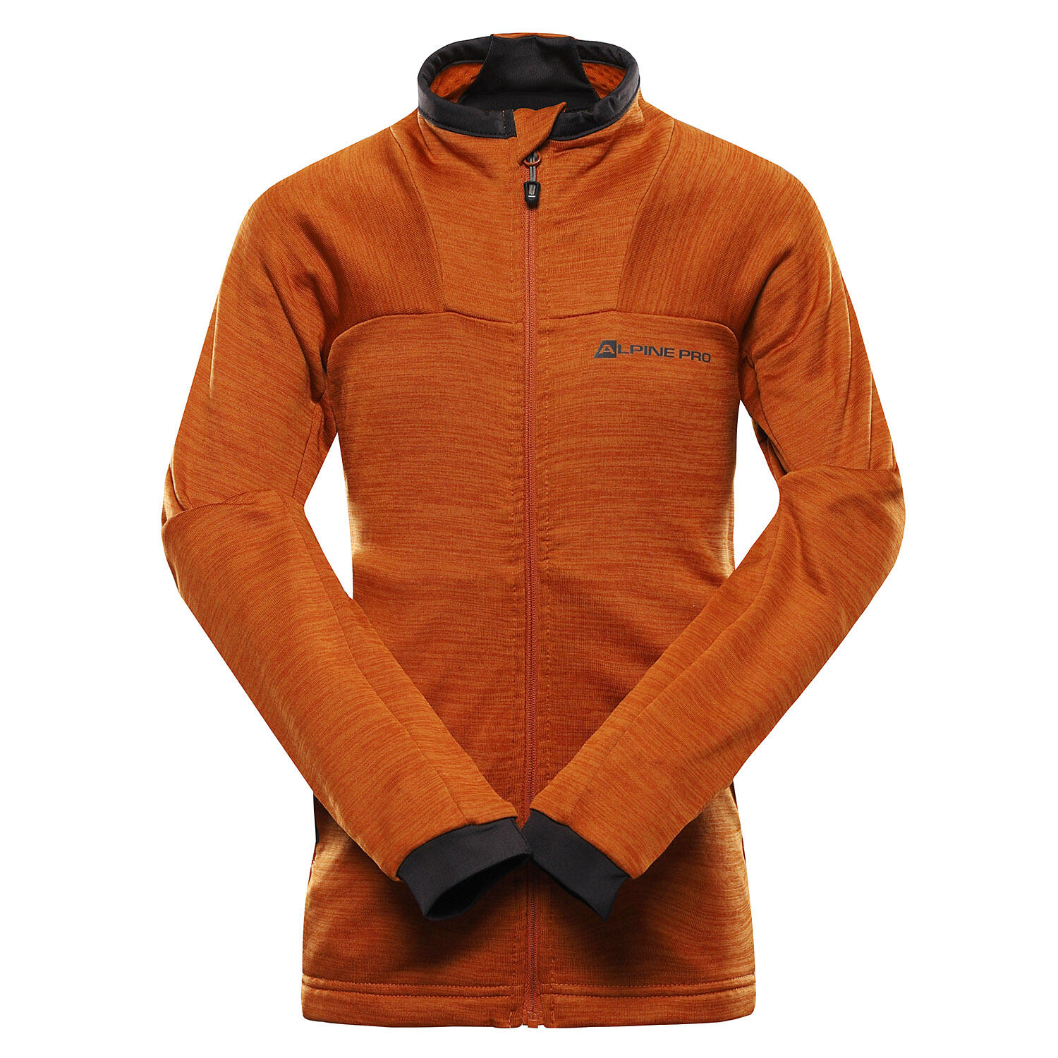 ALPINE PRO picture