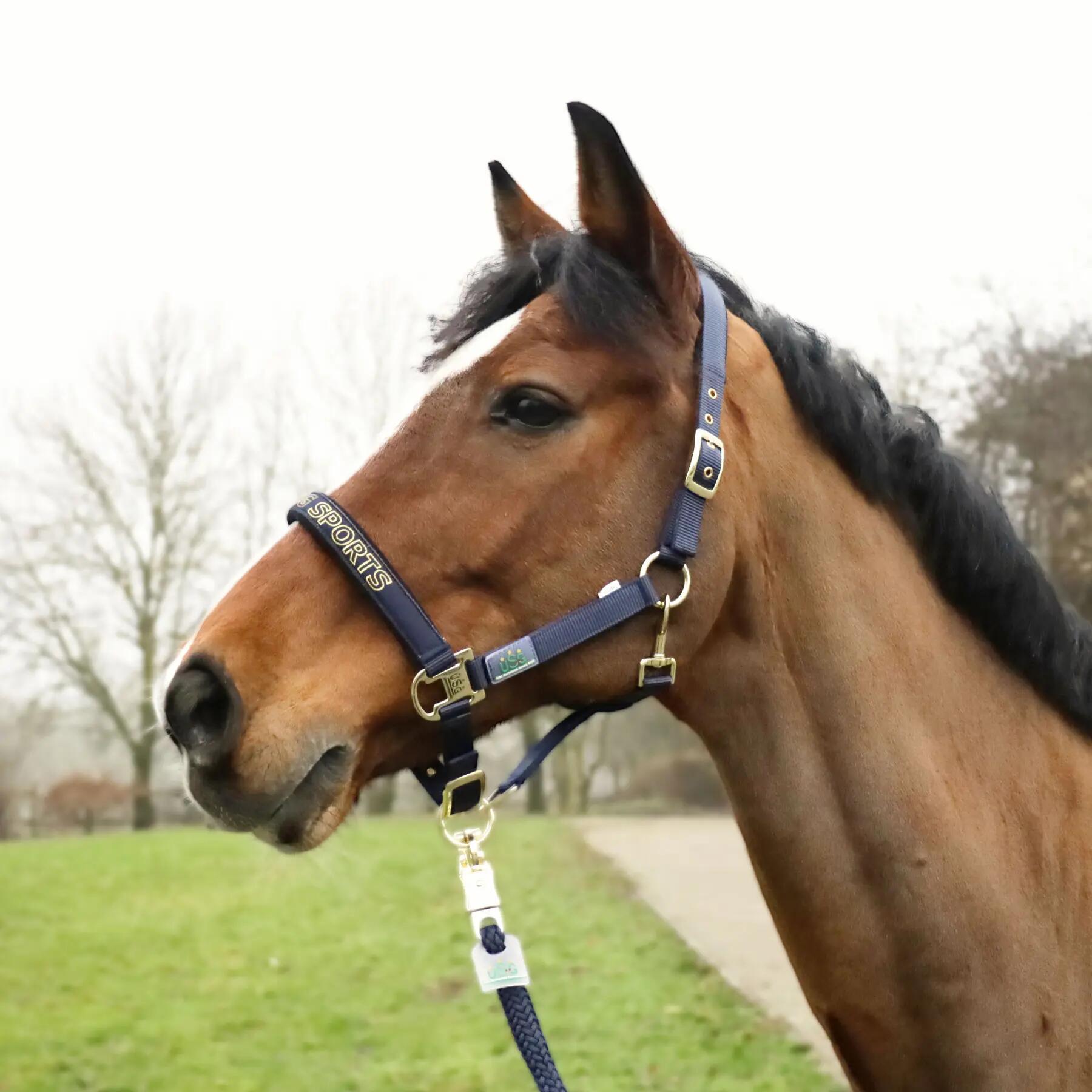 Licol pour cheval USG Sports 2/2