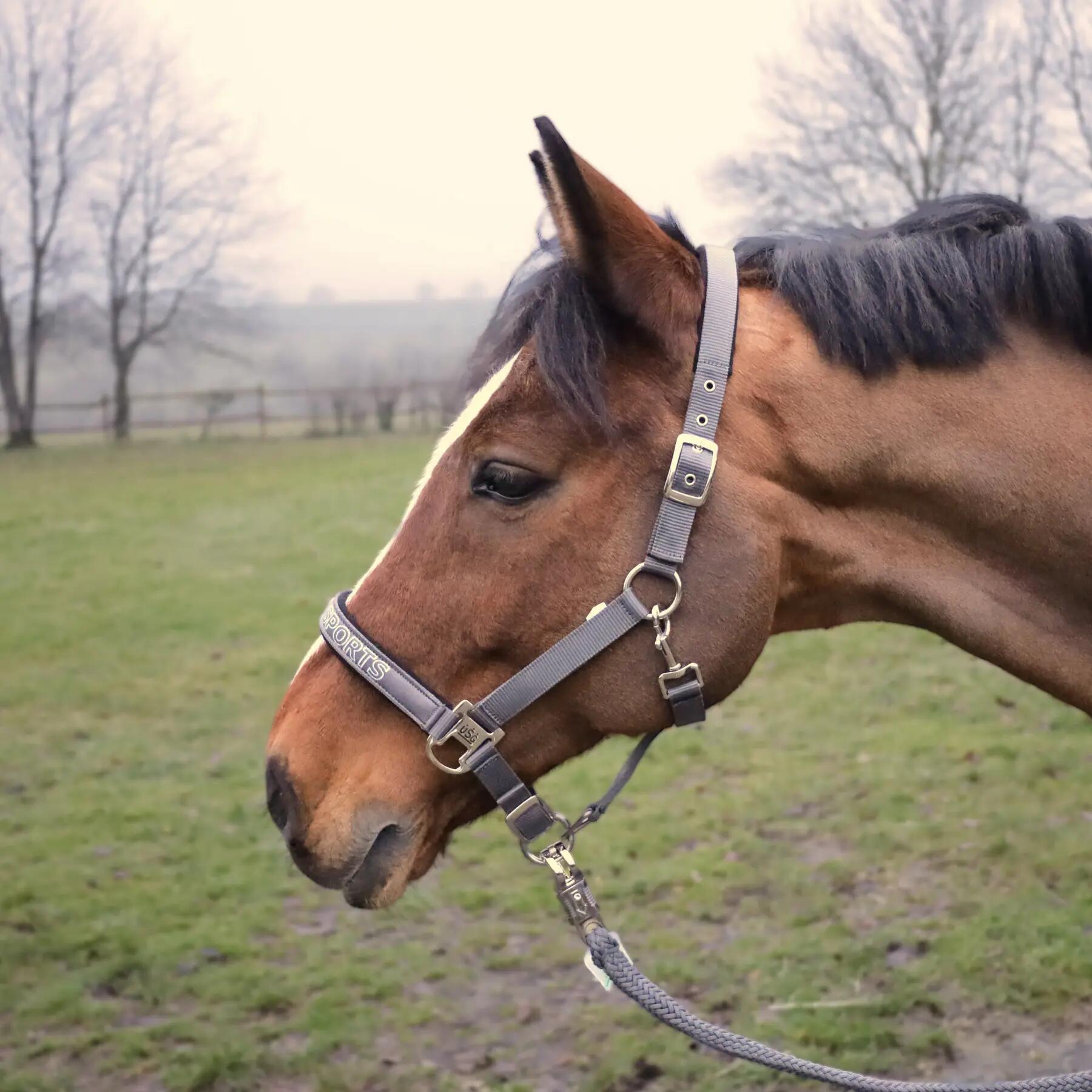 Licol pour cheval USG Sports 2/2